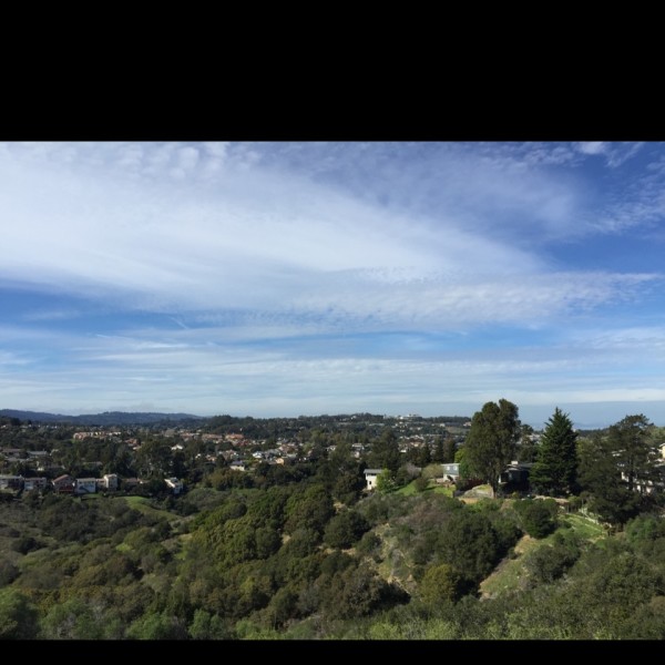 Young Jacob Realtor Intero Real Estate Menlo Park